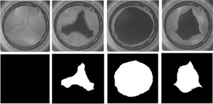 Image segmentation and calculation of aortic valve orifice area from high speed recordings. Photos: Peter Johansen, AU.